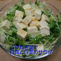 豆腐と白菜のサラダ.JPG