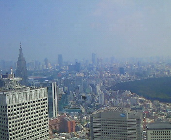 東京タワー？.JPG